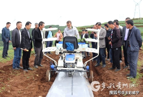 科技賦能農(nóng)業(yè) 威寧高效農(nóng)業(yè)生產(chǎn)技術(shù)軟件開(kāi)發(fā)的探索與實(shí)踐